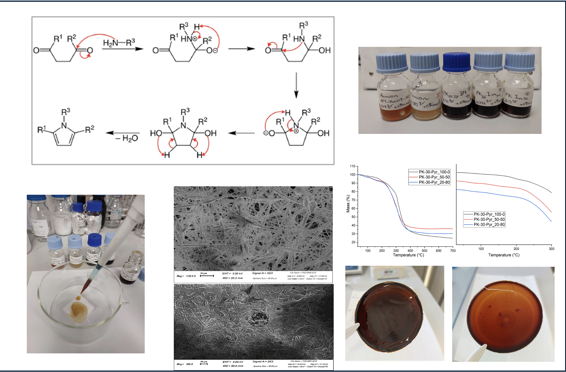 Funzionalizzazione di polichetoni con gruppi stabili chimicamente e capaci di generare&nbsp;alogenuri primari, unit&agrave; anionicamente conduttrici, conseguente attivazione delle membrane&nbsp;e loro caratterizzazione (SEM, TGA)